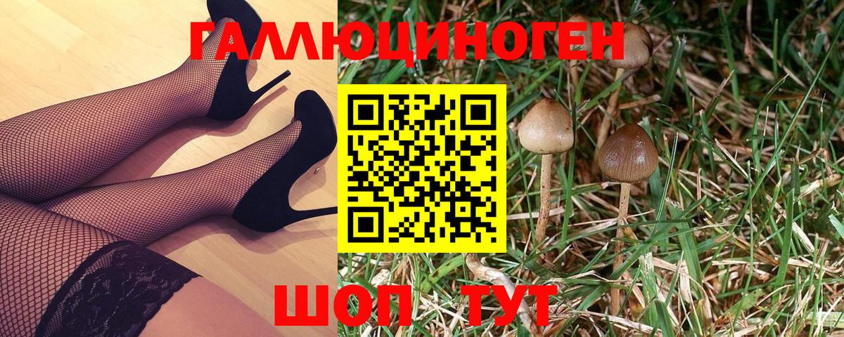 Кисловодск  Псилоцибиновые грибы мицелий  Вход с VPN 