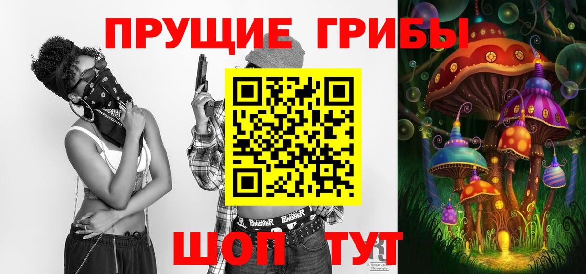 Псилоцибиновые грибы Cubensis Кисловодск